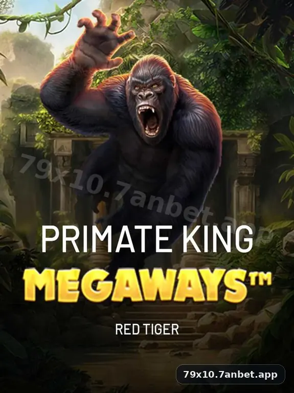 79x10 visual 2